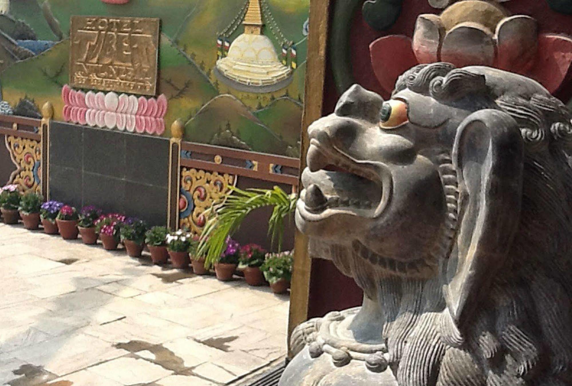 Hotel Tibet International Kathmandu Bagian luar foto